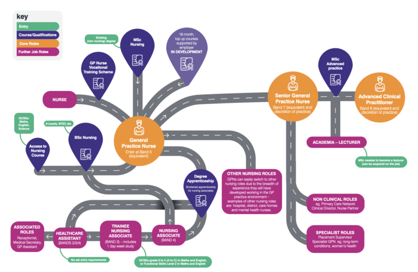 multi-coloured diagram representing the career pathway of a general practice nurse